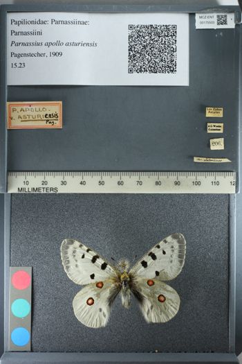 Media type: image;   Entomology 175503